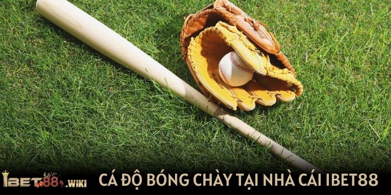 Cá độ bóng chày được yêu thích tại nhà cái IBET88