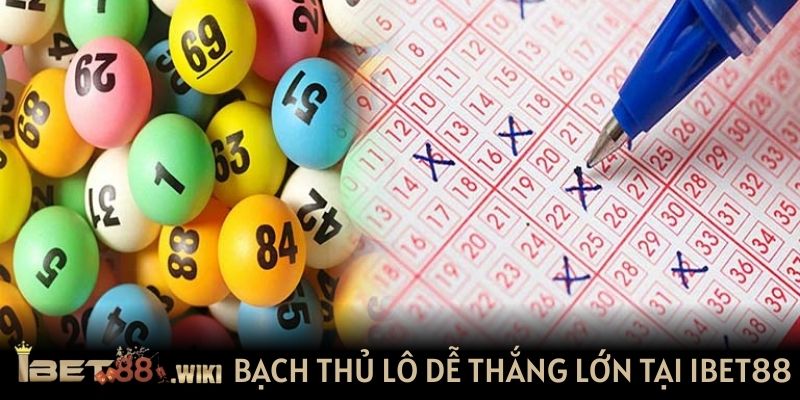 bạch thủ lô