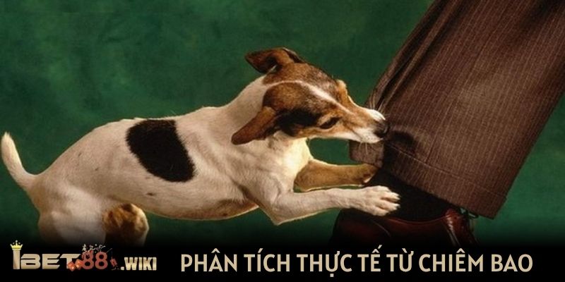 Tình huống phân tích thực tế từ chiêm bao